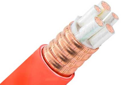 <a href='http://www.zzmydz.com/kuangwuzhidianlan/' target='_blank'><u>礦物質(zhì)電纜</u></a>